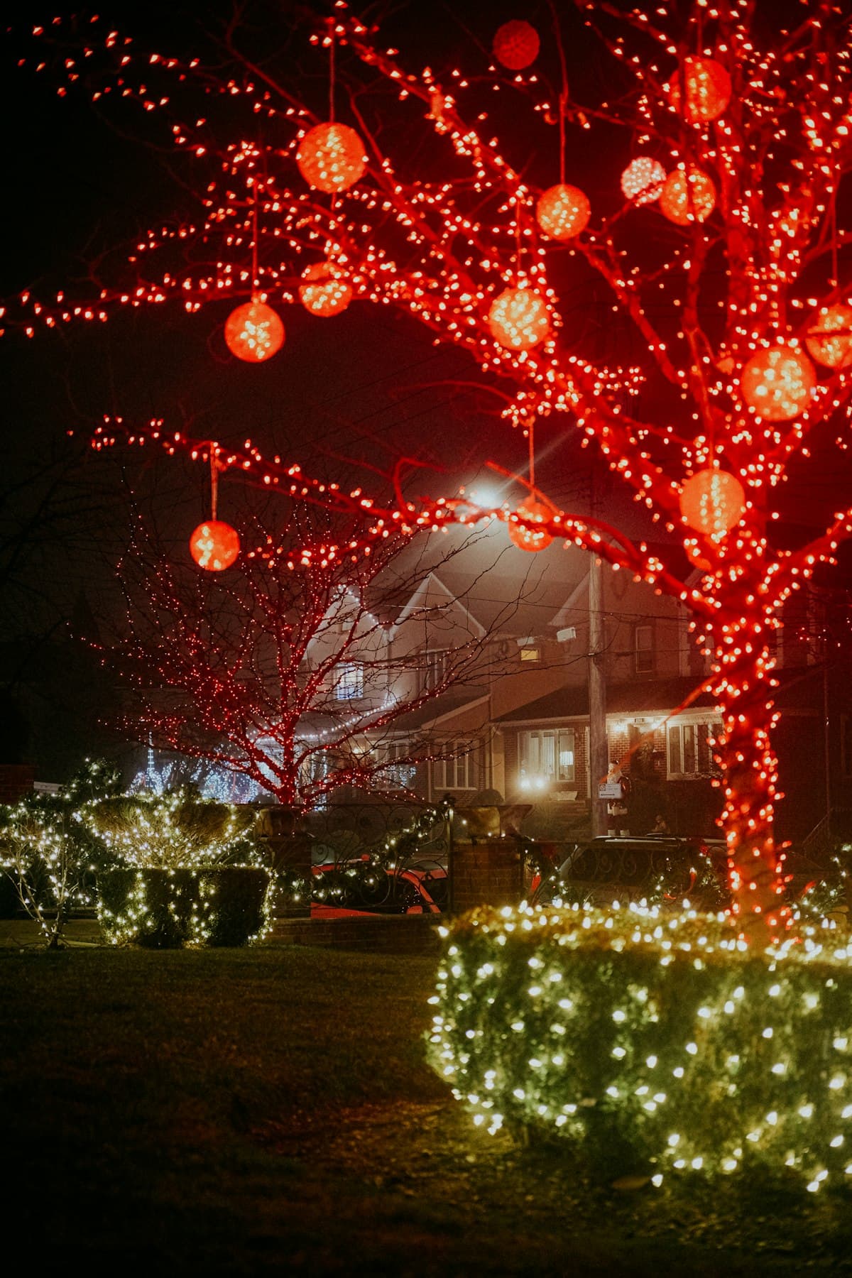 Trees wrapped in Christmas lights glowing over a lawn at night